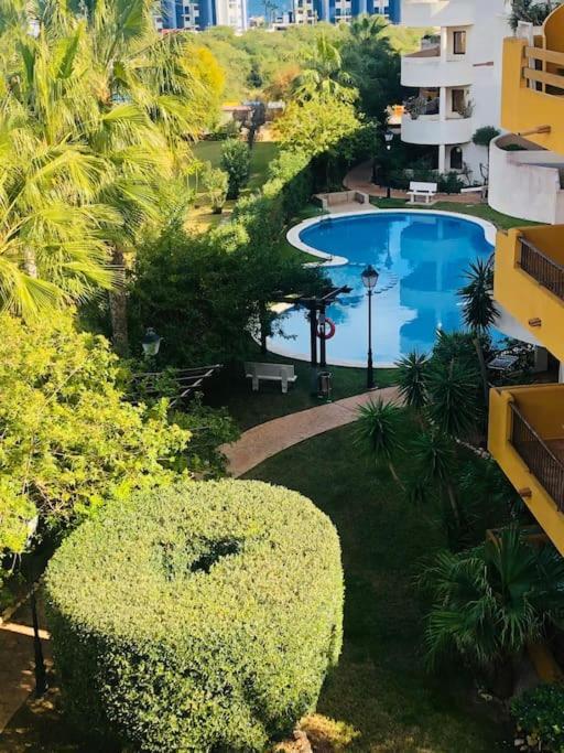 Casa De Flores Torrevieja Eksteriør bilde
