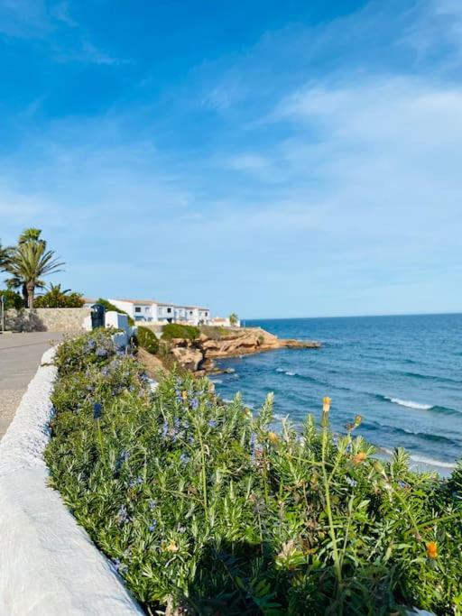Casa De Flores Torrevieja Eksteriør bilde
